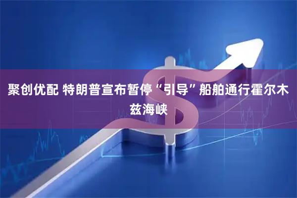 聚创优配 特朗普宣布暂停“引导”船舶通行霍尔木兹海峡