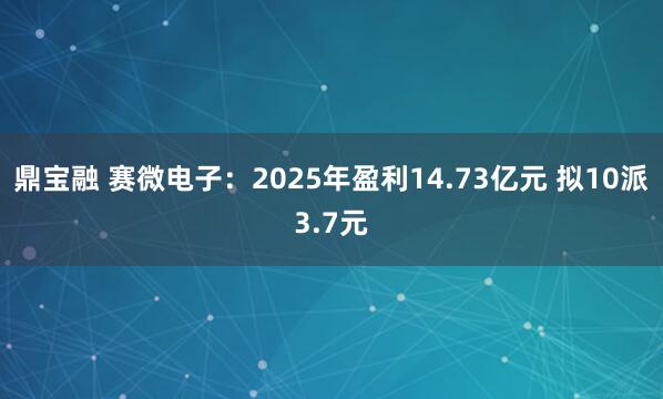 鼎宝融 赛微电子：2025年盈利14.73亿元 拟10派3.7元