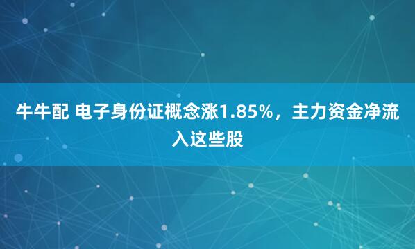 牛牛配 电子身份证概念涨1.85%，主力资金净流入这些股